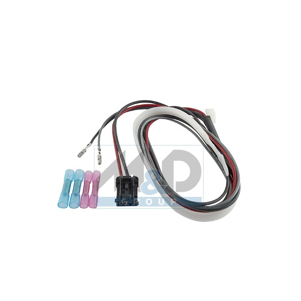 PIECES POUR SYSTEMES DE GESTION MOTEUR